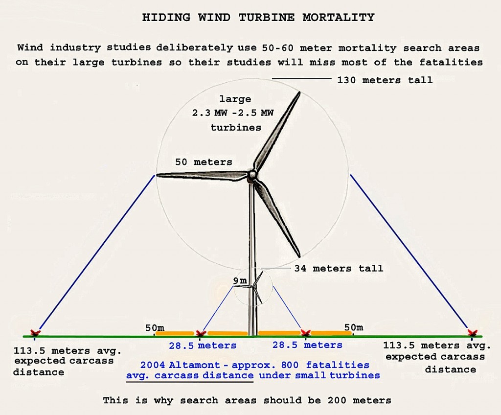 Bird mortality table